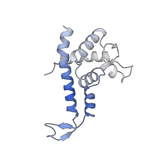 20233_6p18_P_v1-3
Q21 transcription antitermination complex: loading complex