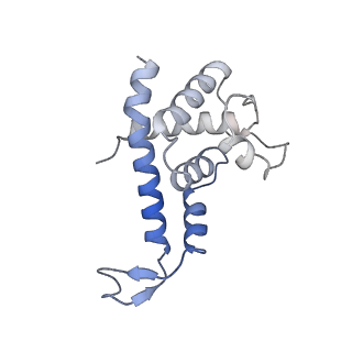 20233_6p18_P_v1-4
Q21 transcription antitermination complex: loading complex