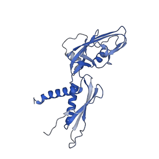 20234_6p19_A_v1-3
Q21 transcription antitermination complex: loaded complex