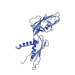 20234_6p19_A_v1-4
Q21 transcription antitermination complex: loaded complex