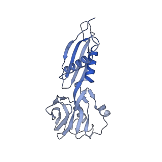 20234_6p19_B_v1-3
Q21 transcription antitermination complex: loaded complex