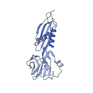 20234_6p19_B_v1-4
Q21 transcription antitermination complex: loaded complex