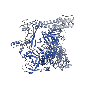 20234_6p19_C_v1-3
Q21 transcription antitermination complex: loaded complex