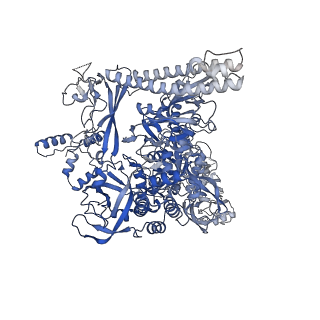 20234_6p19_C_v1-4
Q21 transcription antitermination complex: loaded complex