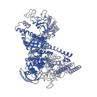 20234_6p19_D_v1-4
Q21 transcription antitermination complex: loaded complex