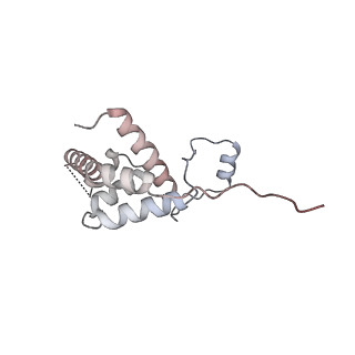 20234_6p19_Q_v1-3
Q21 transcription antitermination complex: loaded complex