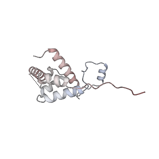 20234_6p19_Q_v1-4
Q21 transcription antitermination complex: loaded complex