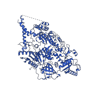 20235_6p1h_A_v1-2
Cryo-EM Structure of DNA Polymerase Delta Holoenzyme