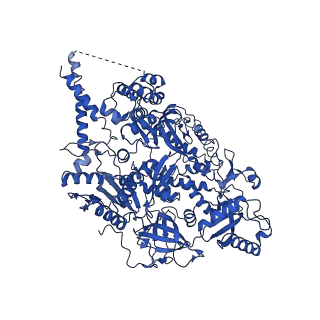 20235_6p1h_A_v1-3
Cryo-EM Structure of DNA Polymerase Delta Holoenzyme