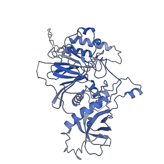 20235_6p1h_B_v1-2
Cryo-EM Structure of DNA Polymerase Delta Holoenzyme