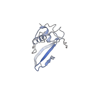 20235_6p1h_C_v1-2
Cryo-EM Structure of DNA Polymerase Delta Holoenzyme