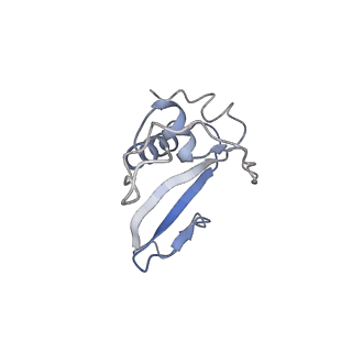 20235_6p1h_C_v1-3
Cryo-EM Structure of DNA Polymerase Delta Holoenzyme