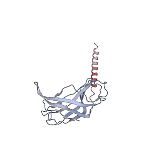 13171_7p2p_B_v1-3
Human Signal Peptidase Complex Paralog A (SPC-A)
