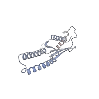 13171_7p2p_C_v1-3
Human Signal Peptidase Complex Paralog A (SPC-A)