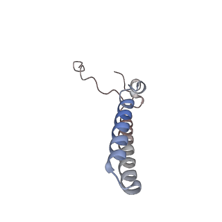 13171_7p2p_D_v1-3
Human Signal Peptidase Complex Paralog A (SPC-A)