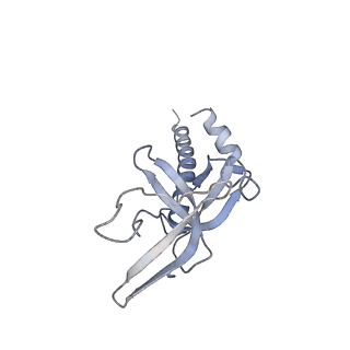 13172_7p2q_A_v1-3
Human Signal Peptidase Complex Paralog C (SPC-C)