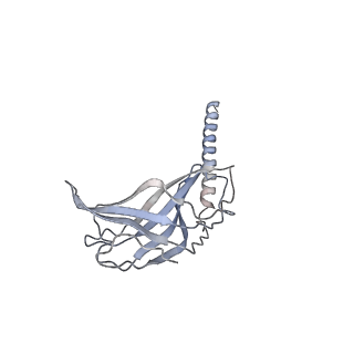 13172_7p2q_B_v1-3
Human Signal Peptidase Complex Paralog C (SPC-C)