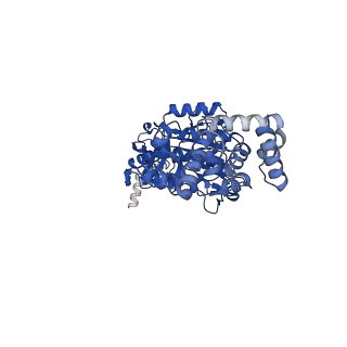 13174_7p2y_A_v1-2
F1Fo-ATP synthase from Acinetobacter baumannii (state 1)