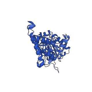 13174_7p2y_D_v1-2
F1Fo-ATP synthase from Acinetobacter baumannii (state 1)