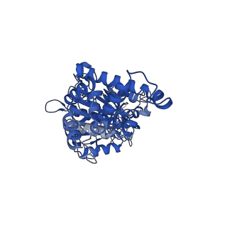 13174_7p2y_E_v1-2
F1Fo-ATP synthase from Acinetobacter baumannii (state 1)
