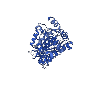 13174_7p2y_F_v1-2
F1Fo-ATP synthase from Acinetobacter baumannii (state 1)