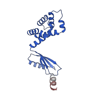 13174_7p2y_d_v1-2
F1Fo-ATP synthase from Acinetobacter baumannii (state 1)