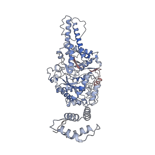 17357_8p23_A_v1-0
Cryo-EM structure of the anaerobic ribonucleotide reductase from Prevotella copri in its dimeric, ATP/CTP-bound state