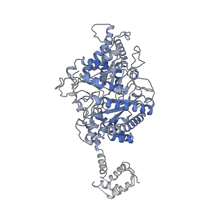 17357_8p23_B_v1-0
Cryo-EM structure of the anaerobic ribonucleotide reductase from Prevotella copri in its dimeric, ATP/CTP-bound state