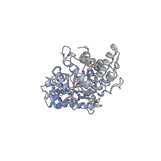 17358_8p27_A_v1-0
Cryo-EM structure of the anaerobic ribonucleotide reductase from Prevotella copri in its dimeric, dATP-bound state