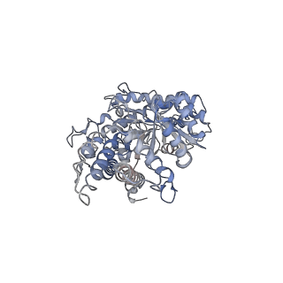 17358_8p27_B_v1-0
Cryo-EM structure of the anaerobic ribonucleotide reductase from Prevotella copri in its dimeric, dATP-bound state