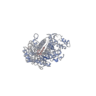 17359_8p28_A_v1-0
Cryo-EM structure of the anaerobic ribonucleotide reductase from Prevotella copri in its tetrameric, dATP-bound state