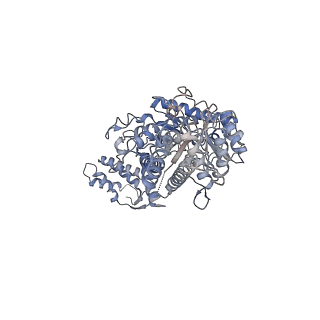 17359_8p28_C_v1-0
Cryo-EM structure of the anaerobic ribonucleotide reductase from Prevotella copri in its tetrameric, dATP-bound state
