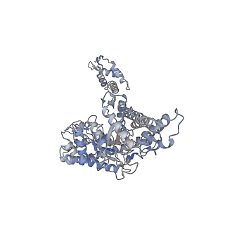 17359_8p28_D_v1-0
Cryo-EM structure of the anaerobic ribonucleotide reductase from Prevotella copri in its tetrameric, dATP-bound state