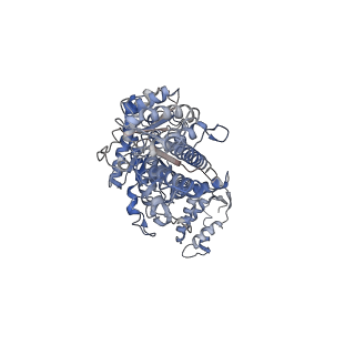 17360_8p2c_A_v1-0
Cryo-EM structure of the anaerobic ribonucleotide reductase from Prevotella copri in its tetrameric state produced in the presence of dATP and CTP
