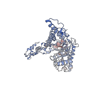 17360_8p2c_B_v1-0
Cryo-EM structure of the anaerobic ribonucleotide reductase from Prevotella copri in its tetrameric state produced in the presence of dATP and CTP