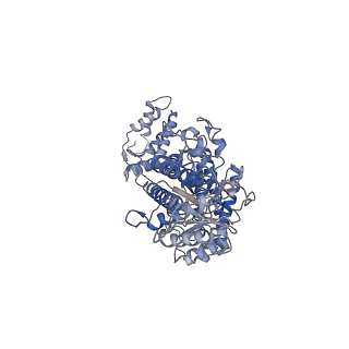 17360_8p2c_C_v1-0
Cryo-EM structure of the anaerobic ribonucleotide reductase from Prevotella copri in its tetrameric state produced in the presence of dATP and CTP