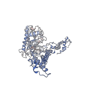 17360_8p2c_D_v1-0
Cryo-EM structure of the anaerobic ribonucleotide reductase from Prevotella copri in its tetrameric state produced in the presence of dATP and CTP
