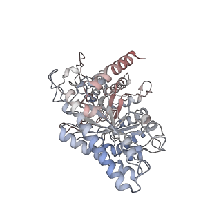 17361_8p2d_A_v1-0
Cryo-EM structure of the dimeric form of the anaerobic ribonucleotide reductase from Prevotella copri produced in the presence of dATP and CTP