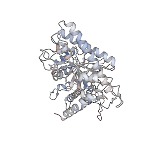 17361_8p2d_B_v1-0
Cryo-EM structure of the dimeric form of the anaerobic ribonucleotide reductase from Prevotella copri produced in the presence of dATP and CTP