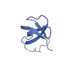17367_8p2k_AB_v1-1
Ternary complex of translating ribosome, NAC and METAP1