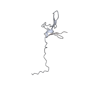 17367_8p2k_AC_v1-1
Ternary complex of translating ribosome, NAC and METAP1