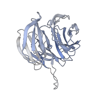 17367_8p2k_AF_v1-1
Ternary complex of translating ribosome, NAC and METAP1