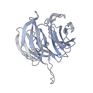 17367_8p2k_AF_v2-0
Ternary complex of translating ribosome, NAC and METAP1