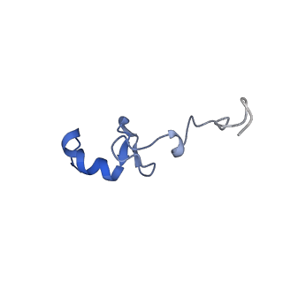 17367_8p2k_AG_v1-1
Ternary complex of translating ribosome, NAC and METAP1