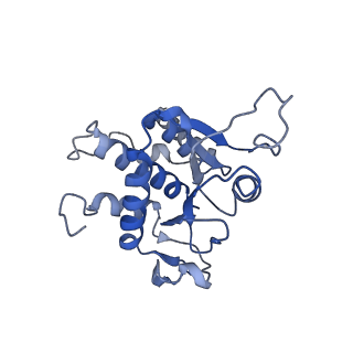 17367_8p2k_AZ_v1-1
Ternary complex of translating ribosome, NAC and METAP1