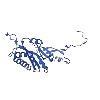 17367_8p2k_Aa_v1-1
Ternary complex of translating ribosome, NAC and METAP1