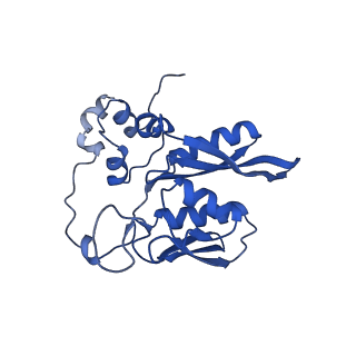 17367_8p2k_Ab_v1-1
Ternary complex of translating ribosome, NAC and METAP1