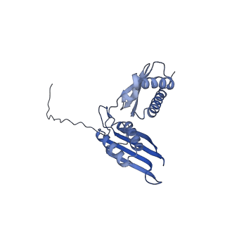 17367_8p2k_Ac_v1-1
Ternary complex of translating ribosome, NAC and METAP1