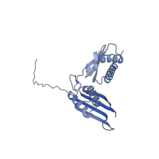 17367_8p2k_Ac_v2-0
Ternary complex of translating ribosome, NAC and METAP1