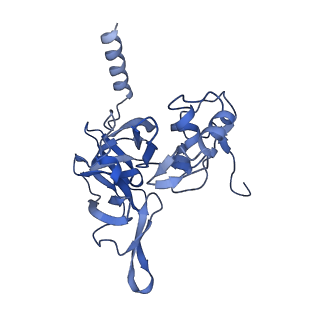 17367_8p2k_Ad_v1-1
Ternary complex of translating ribosome, NAC and METAP1